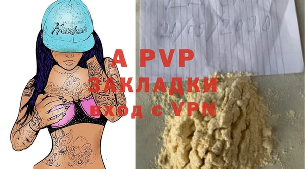 стафф Покачи