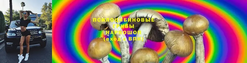 Галлюциногенные грибы MAGIC MUSHROOMS  кракен   Красновишерск 